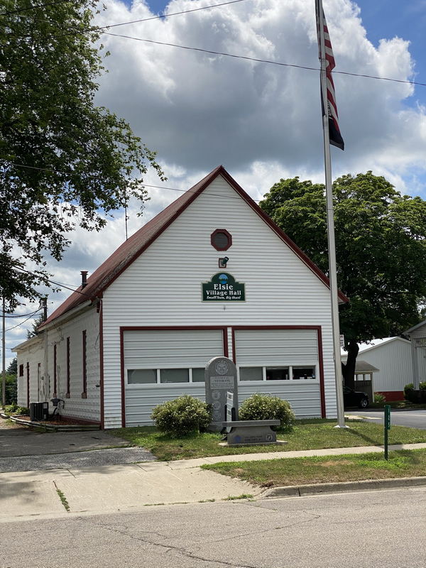 Elsie - July 12 2020 (newer photo)